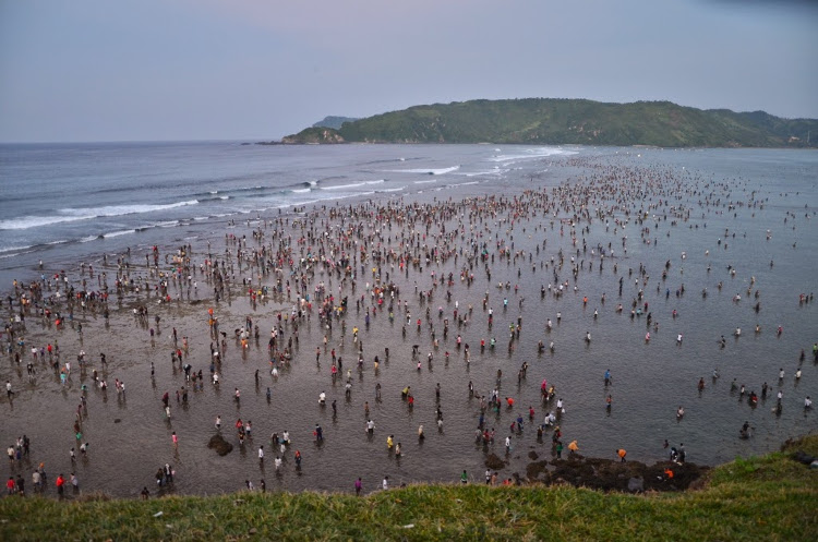 Bau Nyale, Festival Menangkap Cacing Laut di Lombok