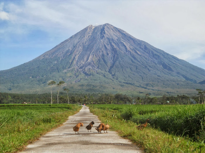 7 Gunung Tertinggi di Pulau Jawa Yang Selalu Menunggu Kedatanganmu