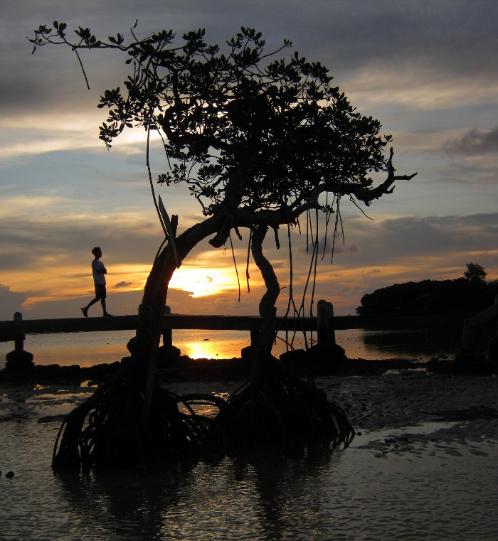 Sunset di Pulau Biawak